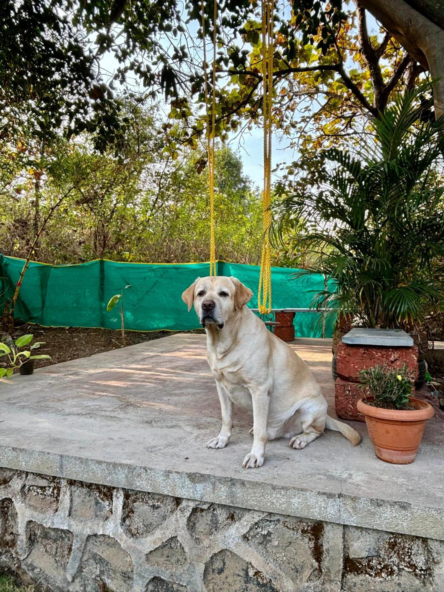 Mrudgandh Kelawade Villa